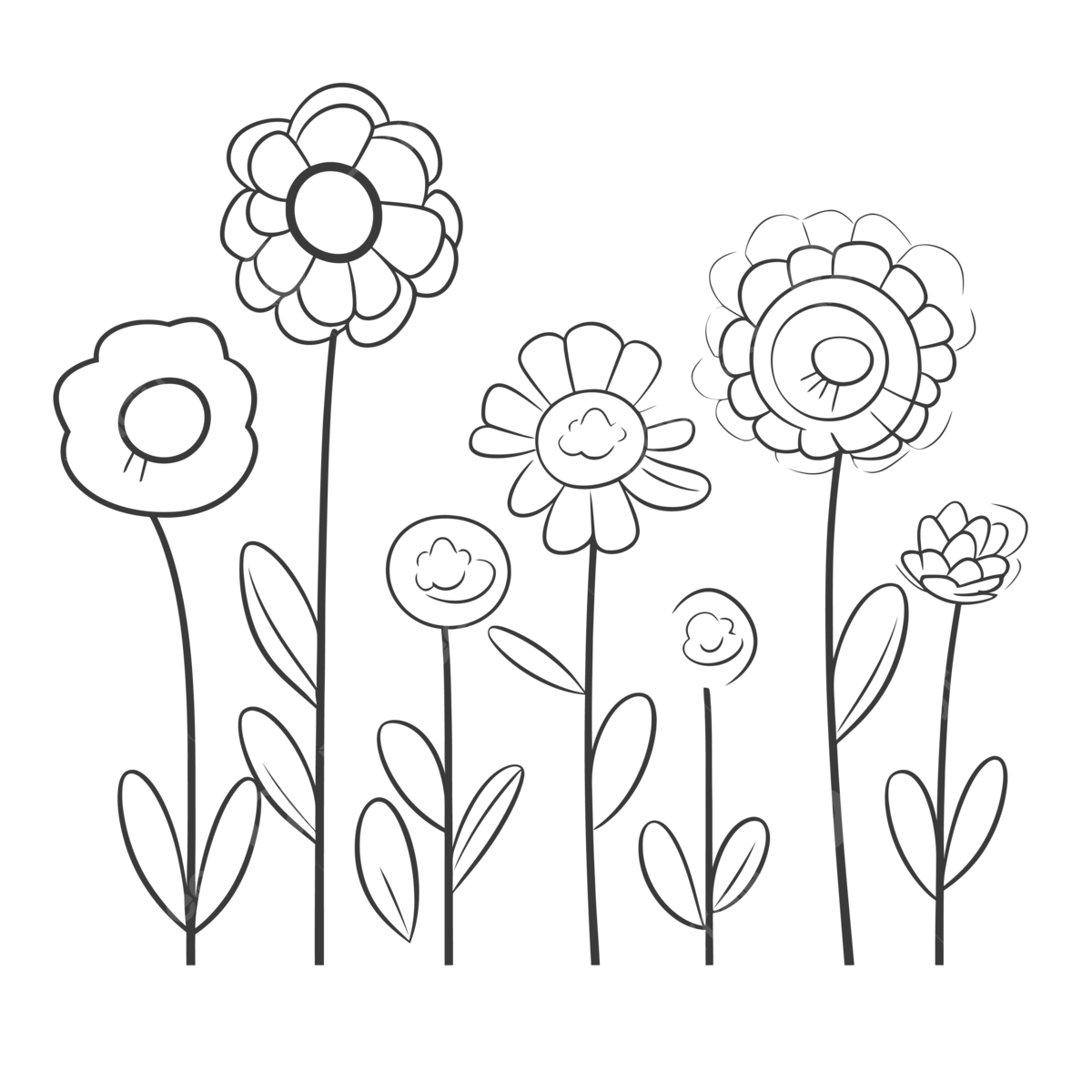 Flowers coloring page fresh coloring pages for preschool outline sketch drawing vector flower drawing flowers drawing school drawing png and vector with transparent background for free download