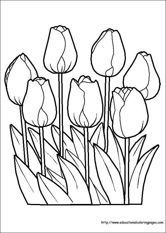 Flower coloring coloring pages free for kids