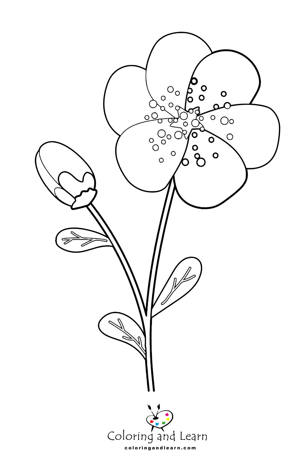 Easy flower coloring pages