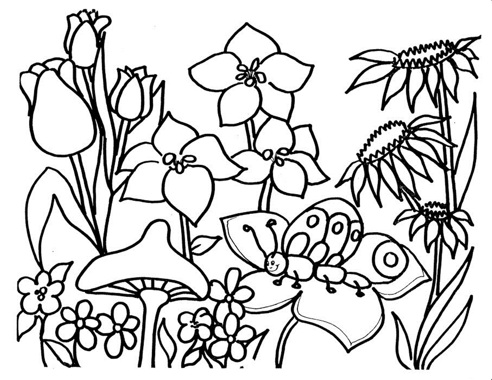 Free printable flower coloring pages for kids