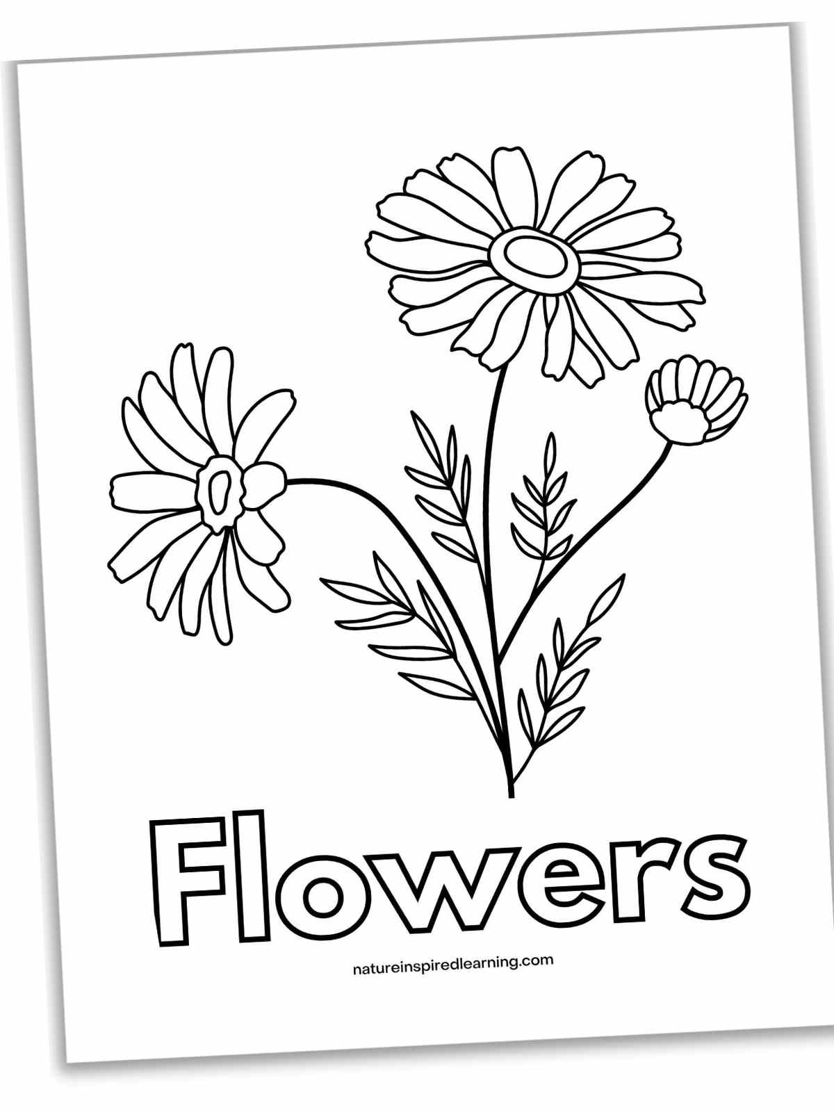 Beautiful flower coloring pages