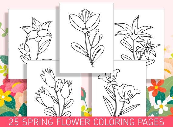 Spring into color flower coloring sheets for preschool and kindergarten pdf file instant download