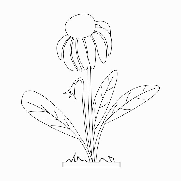 Premium vector beautiful easy flowers coloring book for preschool children