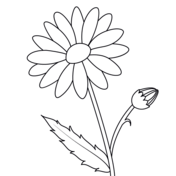 Flowers for preschool coloring pages free coloring pages