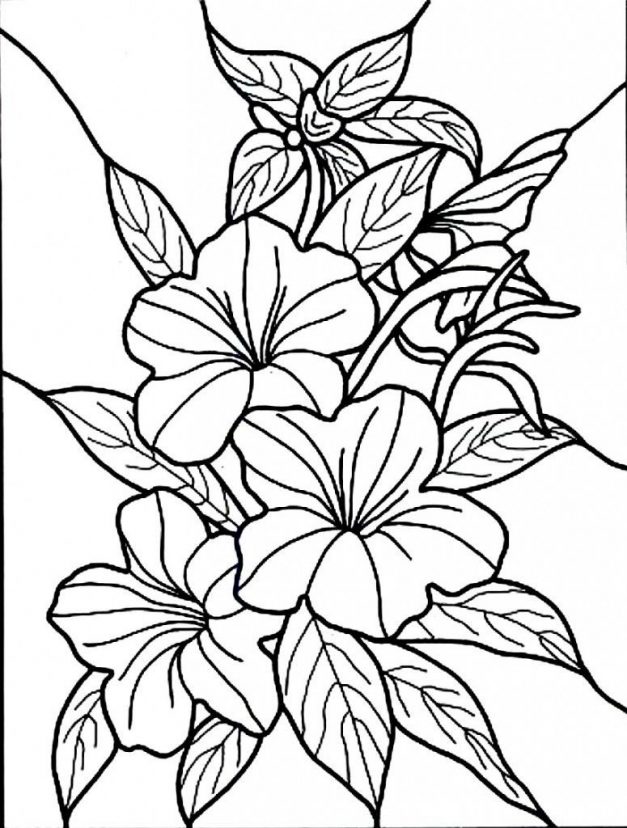 Coloring pages coloring pages of flowers for preschool free printable hibiscus coloring pages for kids