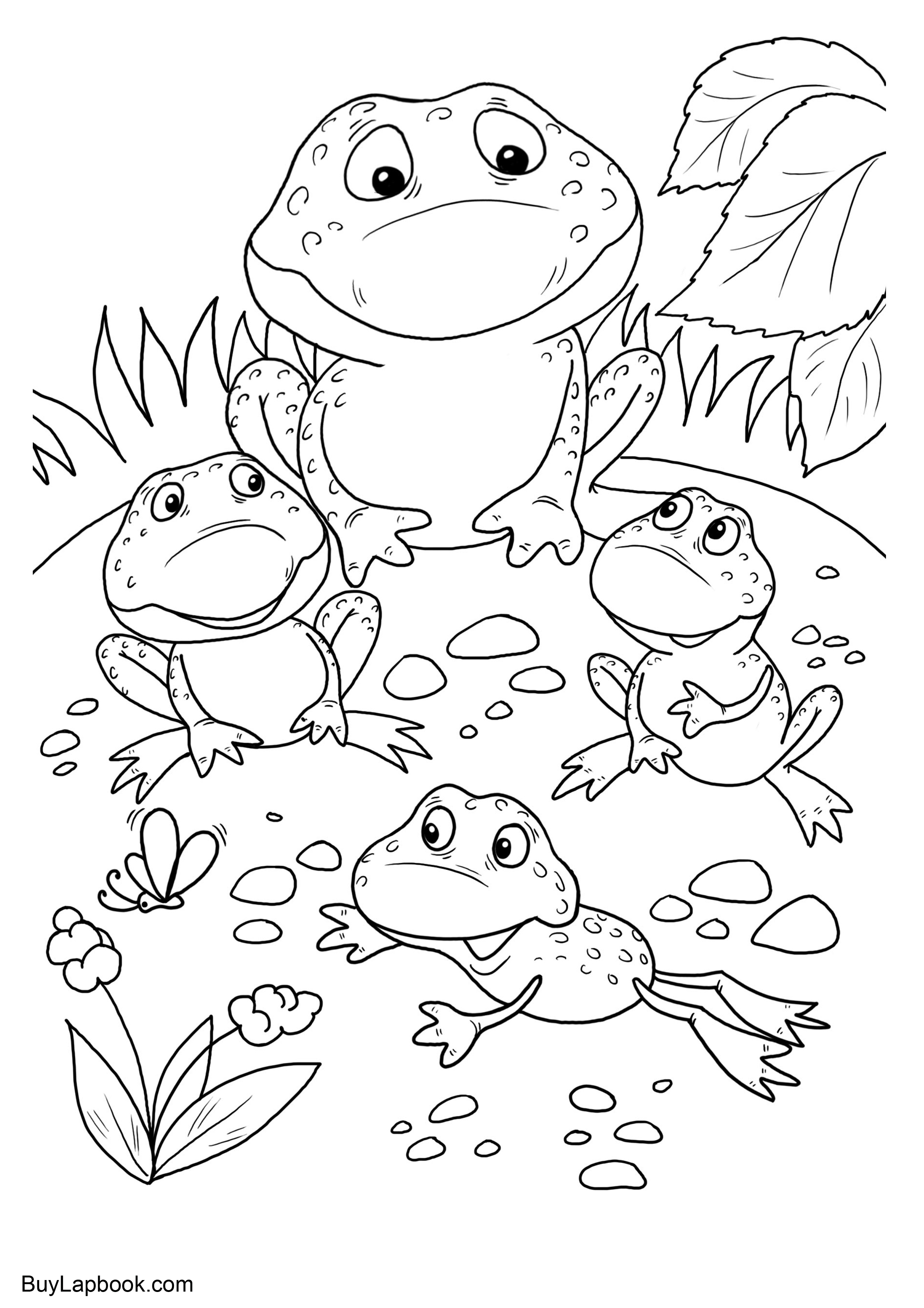The life cycle of a frog free coloring pages