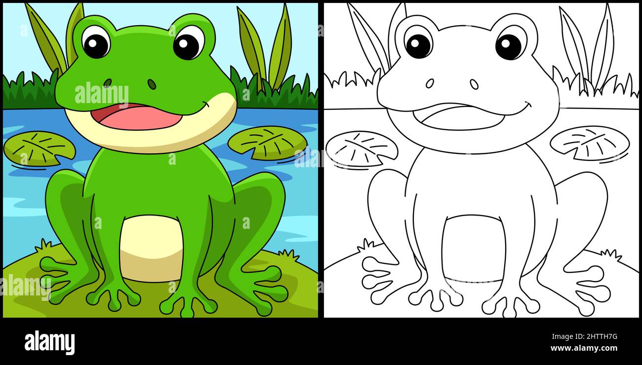 Frog coloring page colored illustration stock vector image art