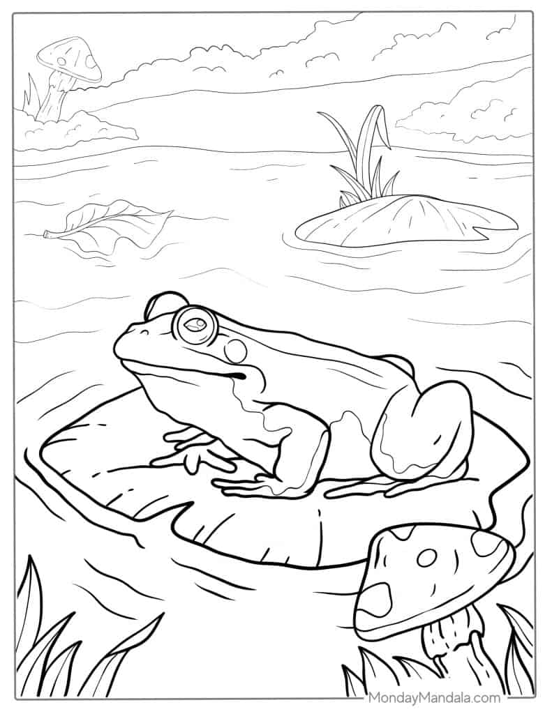 Frog coloring pages free pdf printables