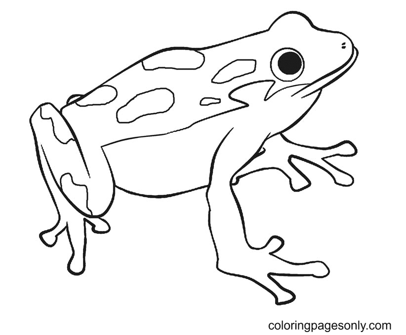 Frog coloring pages printable for free download