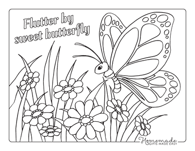 Free butterfly coloring pages for kids adults