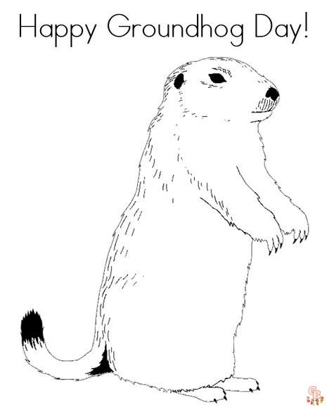 Groundhog coloring pages creative and educational fun for kids