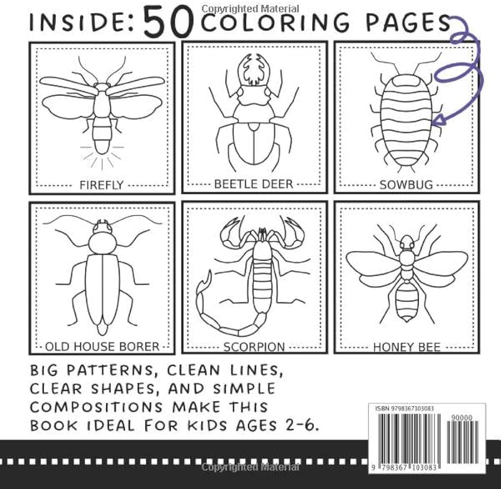 Bug coloring book for kids educational coloring pages of realistic insects for toddlers and preschoolers easy entomology illustrations with big patterns clean lines and simple positions steen