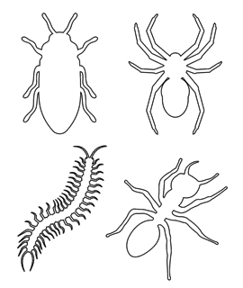 Animals insects free coloring pages