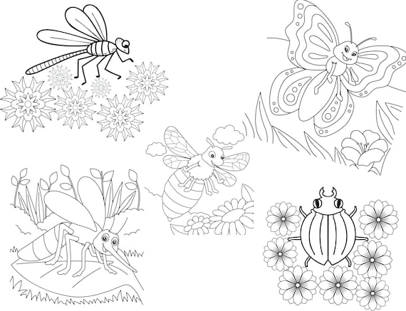 Coloring pages for kids insect identifying pages insect coloring pages nature study instant download printable pages for kids