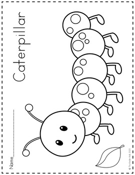 Bugs and insects coloring pages by the kinder kids tpt