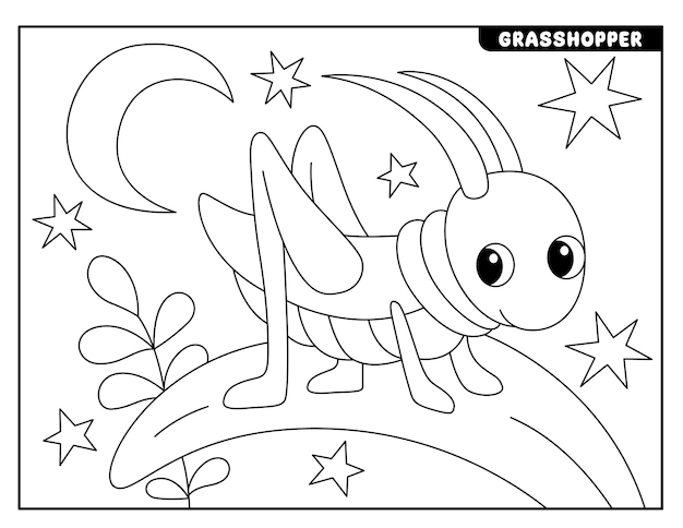 Premium vector insect coloring pages for kids