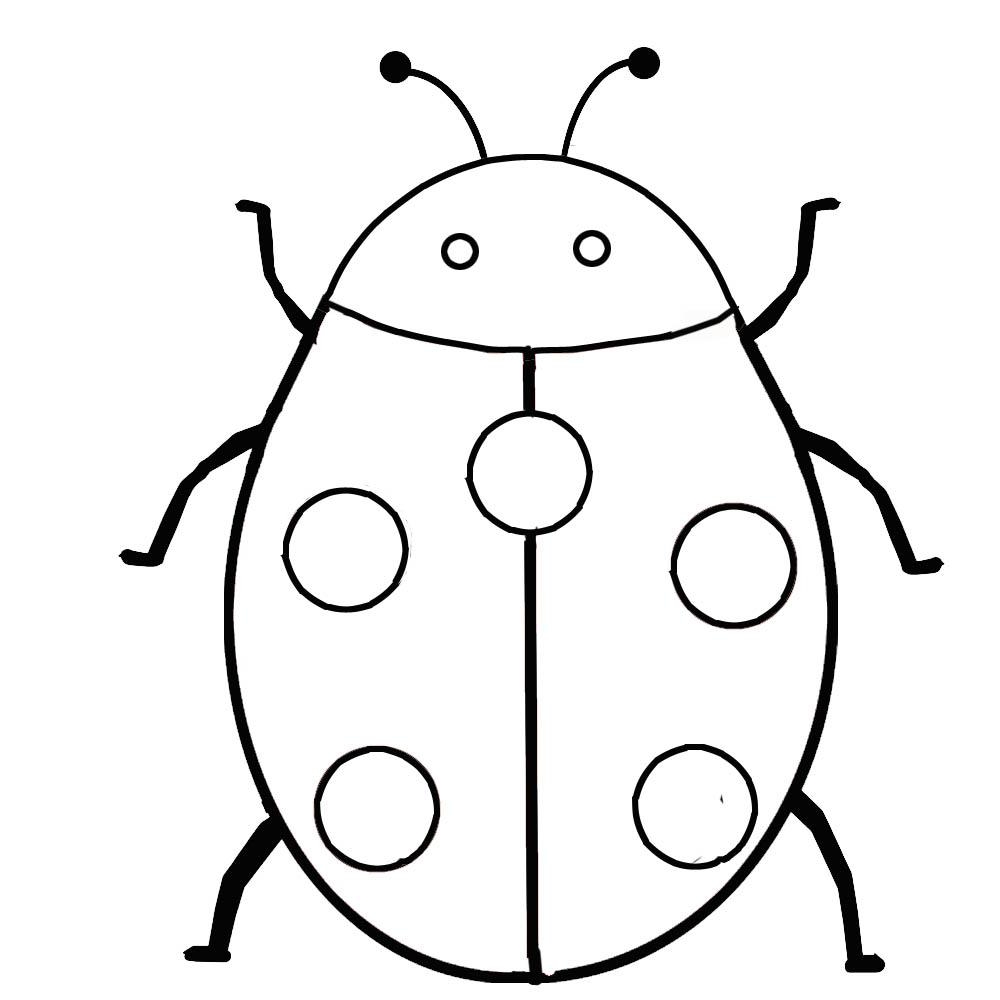 Insect coloring pages