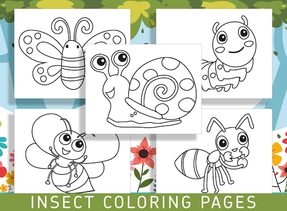 Buzz into fun with insect coloring pages perfect for kindergarten and preschool pdf file instant download