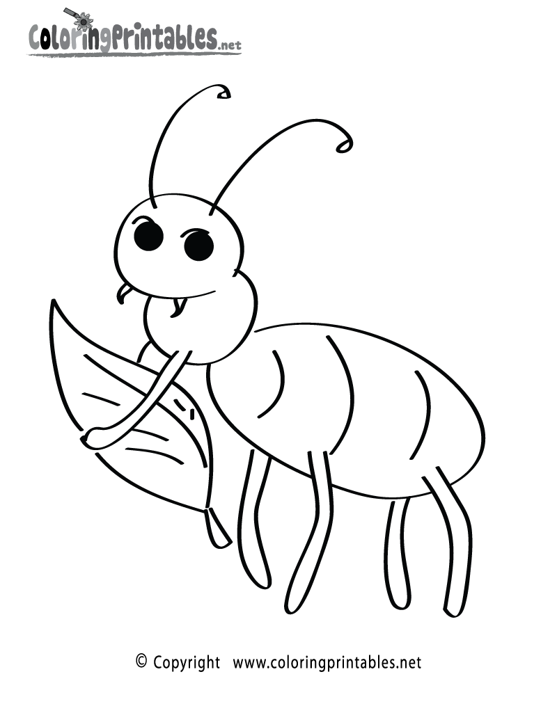 Fun insect coloring page