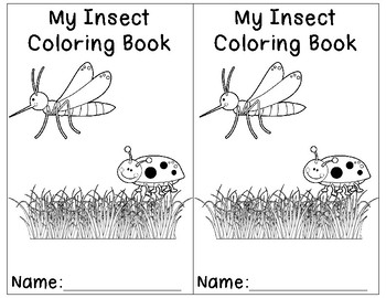 Insect coloring books by preschool productions tpt