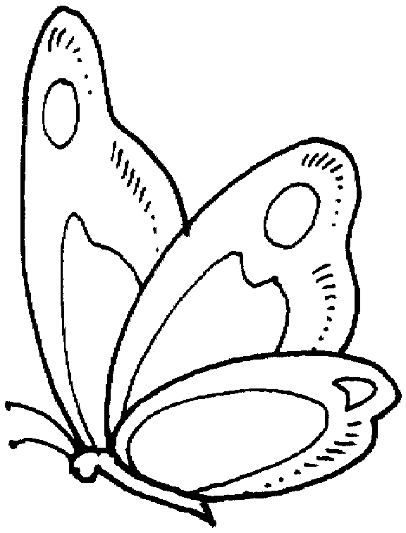 Free insect coloring pages from