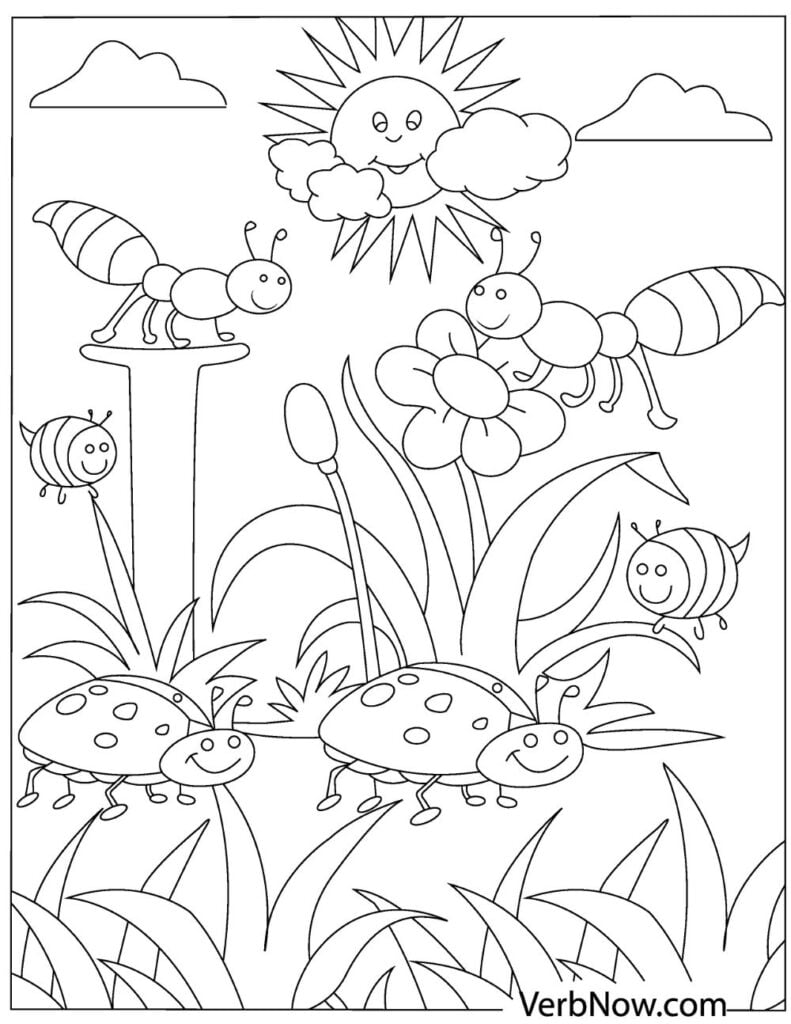 Free bug coloring pages for download printable pdf