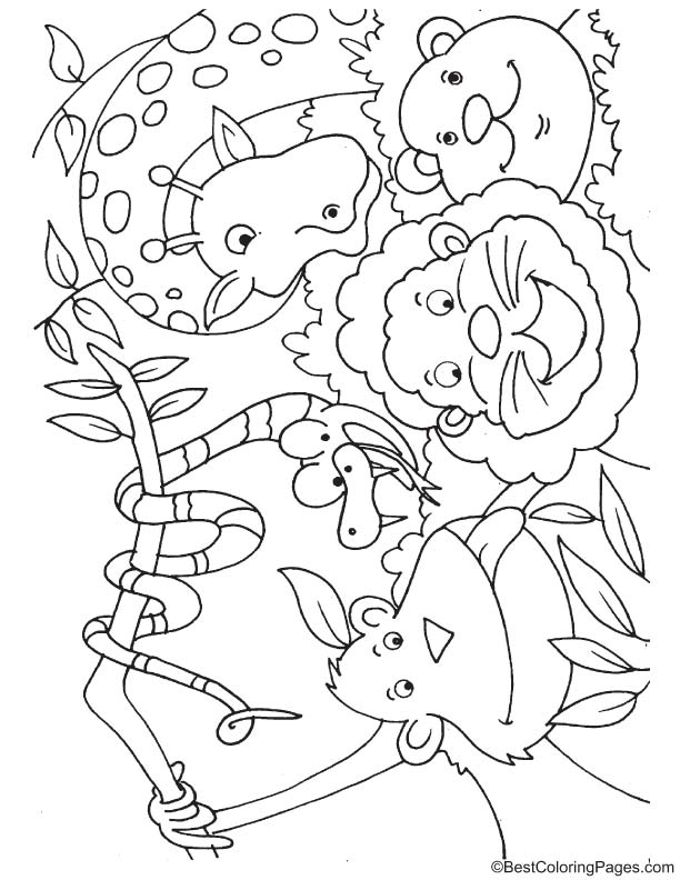 Jungle animals coloring page download free jungle animals coloring page for kids best coloring pages