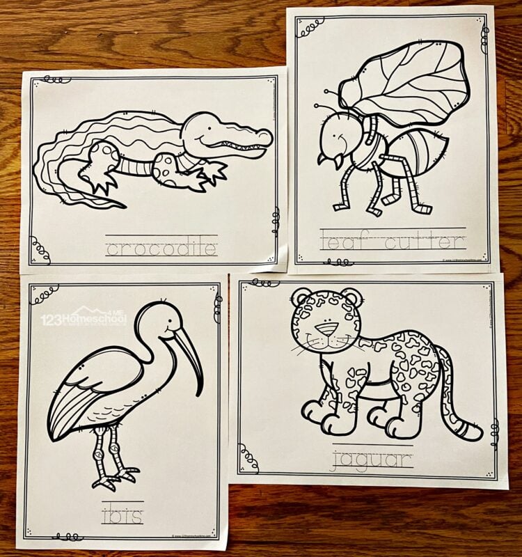 Ðfree free printable jungle animal coloring pages pdf