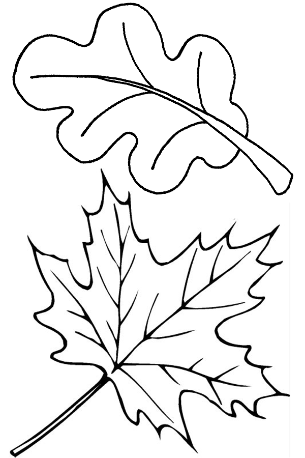 Free printable leaf coloring pages for kids
