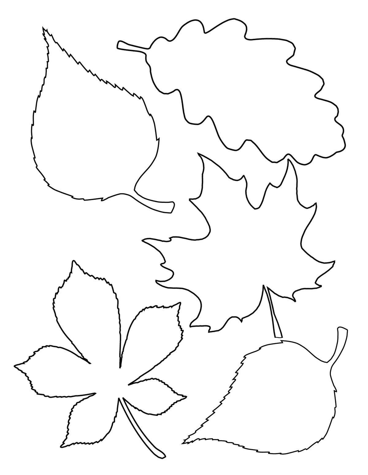 Coloring pages autumn leaves coloring pages fantastic photo ideas preschool free printable