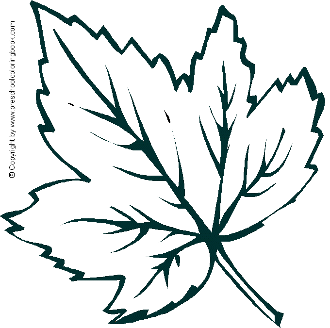 Www fall coloring page