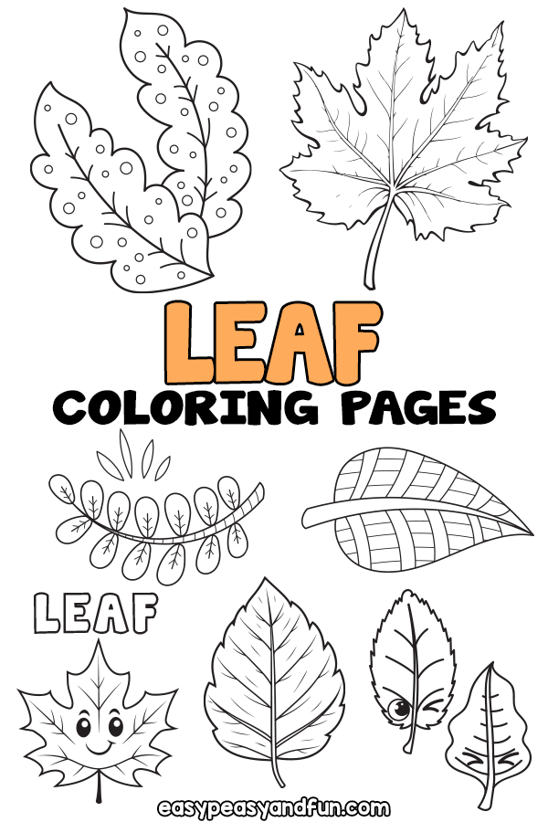 Printable leaf coloring pages â sheets