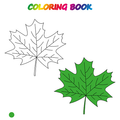 Maple leaf coloring book coloring page to educate preschool kids game for preschool kids vector cartoon illustration worksheet stock illustration