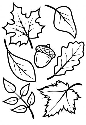 Free printable leaves coloring pages for adults and kids