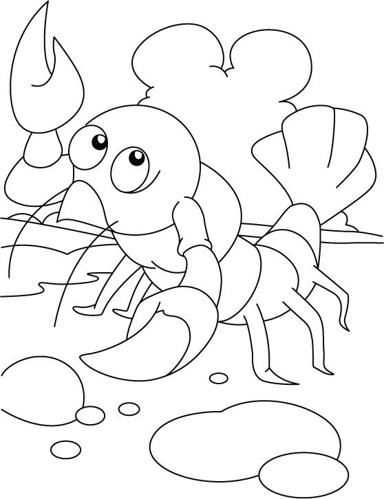 Exercising lobster coloring pages download free exercising lobster coloring pages for kids coloring pages animal coloring pages alphabet coloring pages