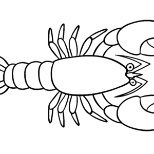 Lobster coloring pages printable for free download