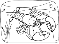 Lobster coloring pages and printable activities