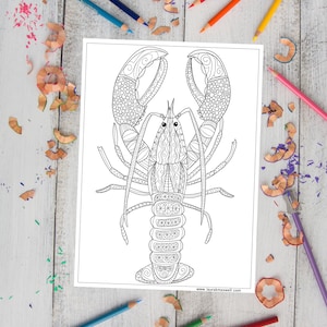 Lobster coloring