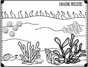 Ð free printable ocean coloring pages