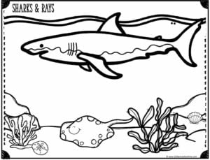 Ð free printable ocean coloring pages