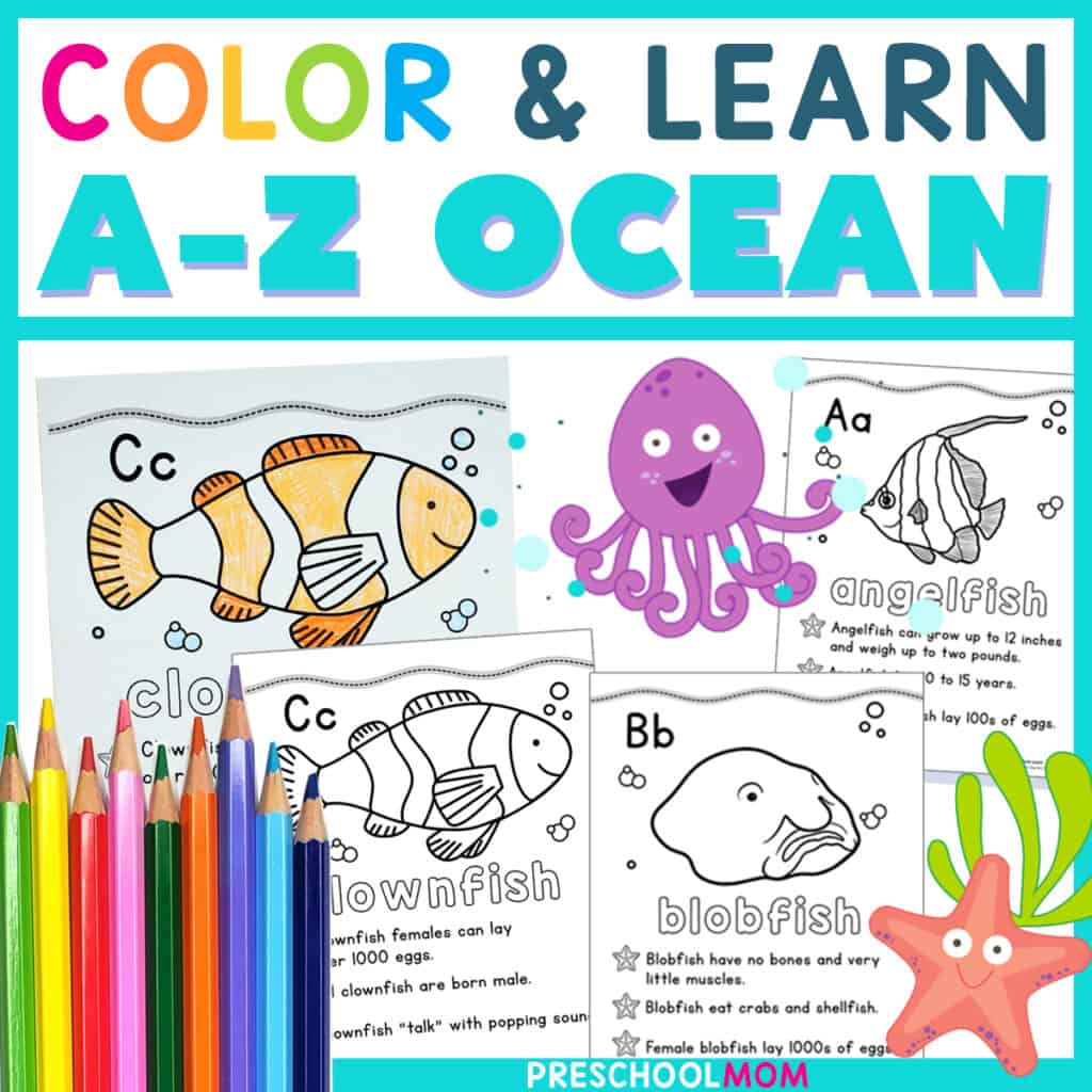 Ocean animal coloring pages