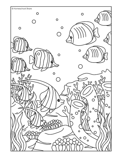 Ocean animals coloring pages