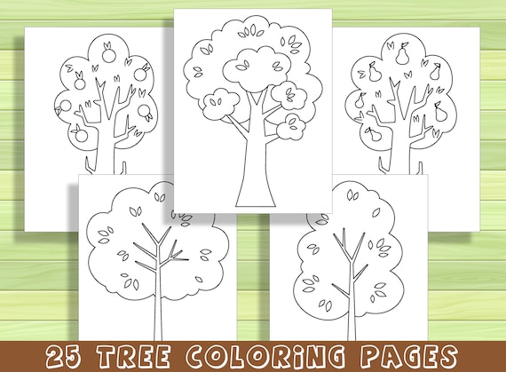 Beautiful tree coloring pages for preschool and kindergarten pdf file instant download