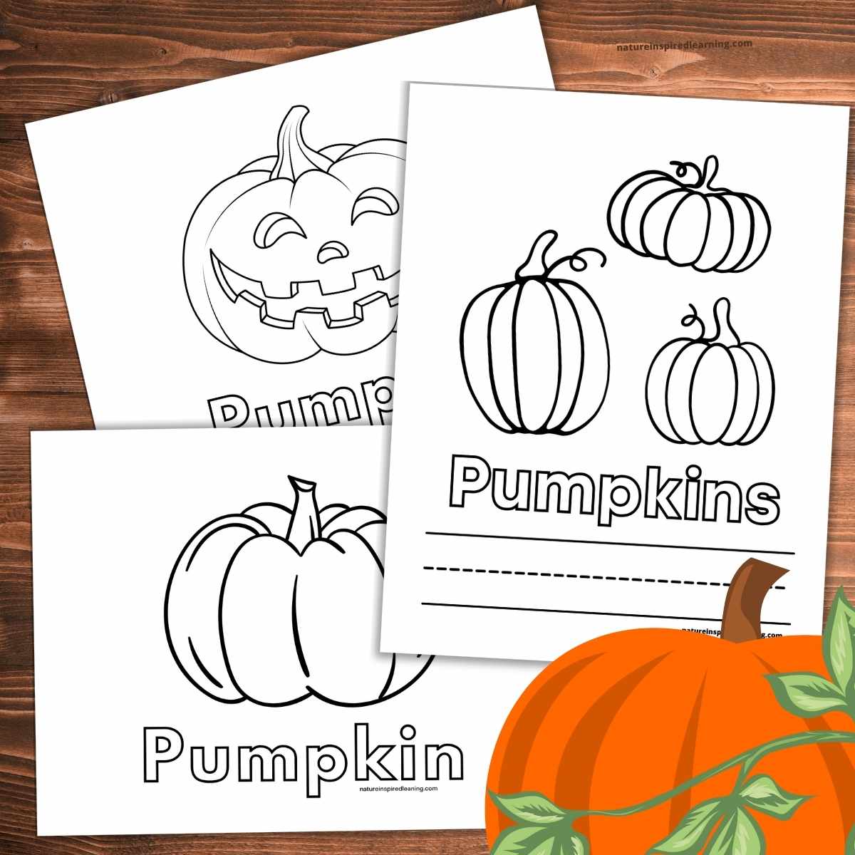 Pumpkin coloring pages