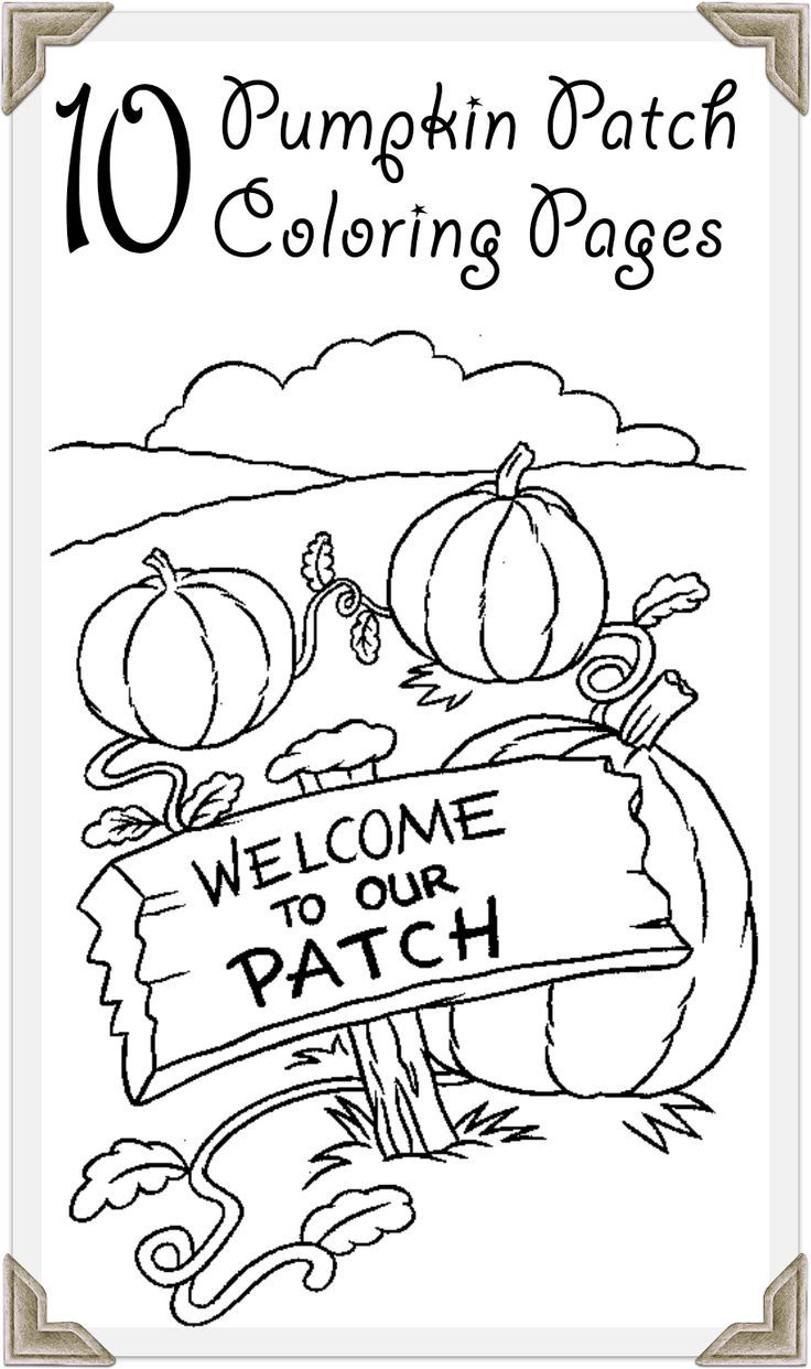 Top free printable pumpkin patch coloring pages online pumpkin patch party pumpkin coloring pages pumpkin patch birthday