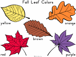 Colors printable activities for preschool and kindergarten