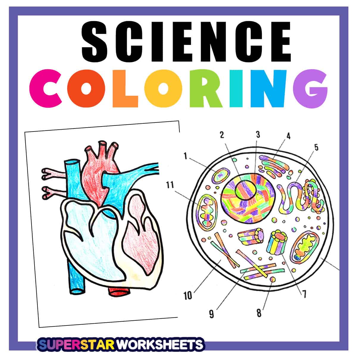 Coloring pages