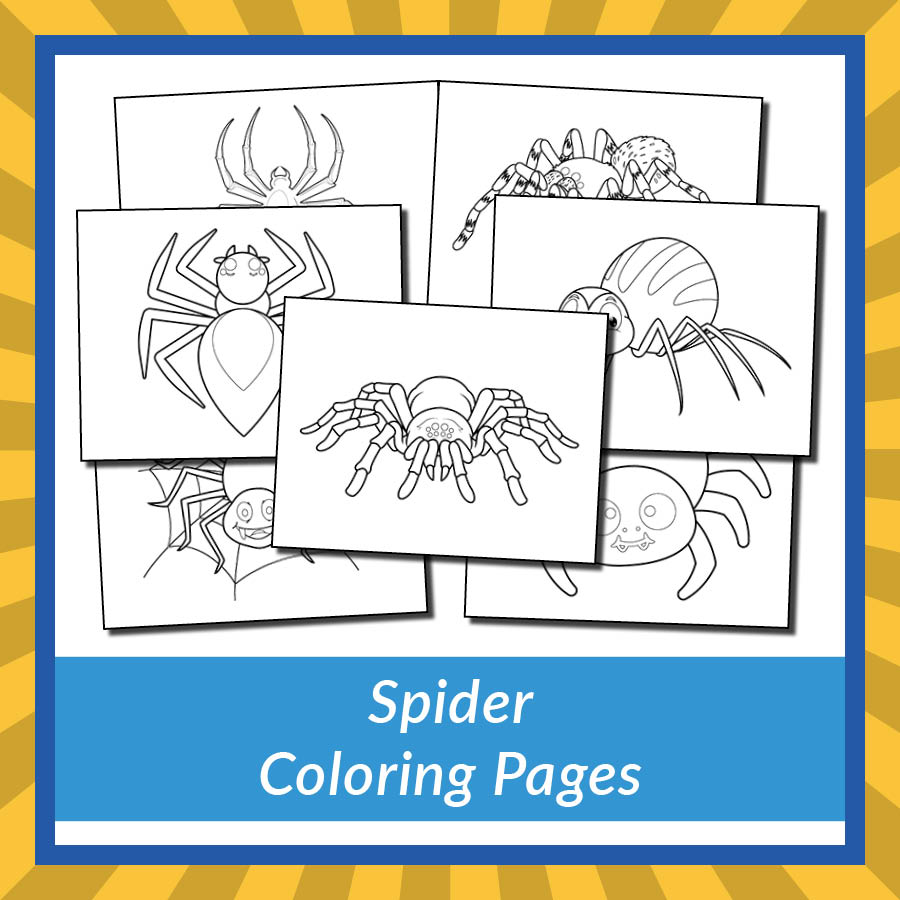 Spider coloring pages