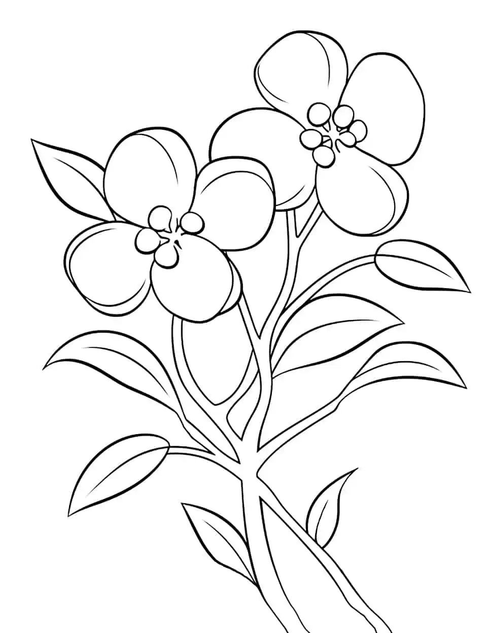 Spring flower preschool coloring page