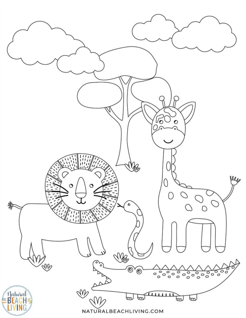 Wild animals printables for preschool and kindergarten